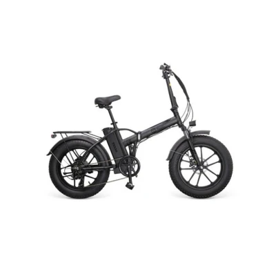 Imagen de Bicicleta plegable Youin Texas, 250 W, Velocidad máx. 25 km/h, Autonomía 45 km, Pantalla LCD, Luz Frontal y Trasera, Negro