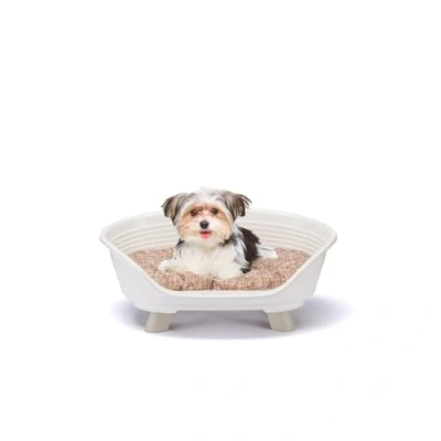 Imagen de Ferplast Cama Perro y Gato con Cojin de Algodon, Elevada Perro, para Perros Pequeños, Cesta Gato, Transpirable Antideslizante, Throne 61,5 x 45 h 26 cm, Blanco