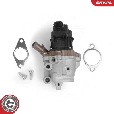 Imagen de Válvula EGR ESEN SKV 14SKV313