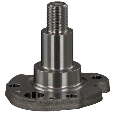 Imagen de FEBI BILSTEIN 30276 Muñón de Eje