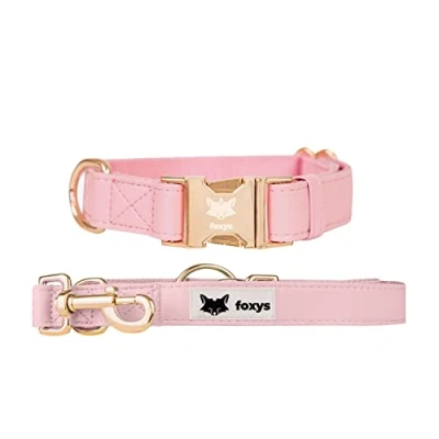 Imagen de CityFox Set Collar y Correa de Perro a Juego Elegante Ajustable Fácil Limpiar Resistente Rosa Talla L 41 63cm Conjunto Foxys