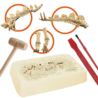 Imagen de EXPLORA Estegosaurio Kit de Paleontólogo 039397 Yeso para Excavar Dinosaurios Descubrimiento Juego Niños Científico Educativo Aventura Juguete A Partir 5 años