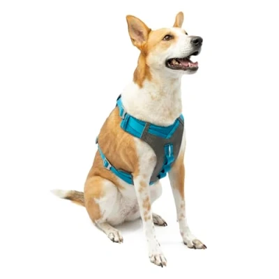 Imagen de Kurgo Journey Air Arnés para Perro, Reflectante Correr Pasear Caminar y Viajes, Ajustable Azul, XL