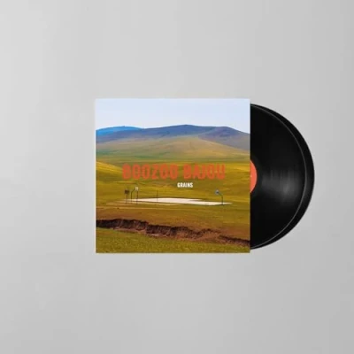 Imagen de Grains (Ltd 15th Anniversary 2LP) [Vinilo]