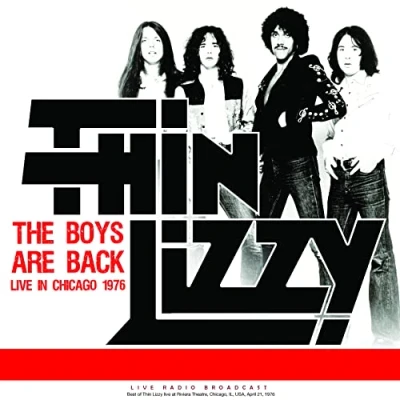 Imagen de the boys are back live in chicago 1976 [Vinilo]