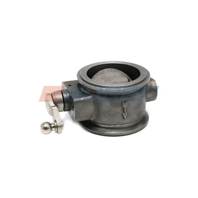 Imagen de Tapa de escape, freno motor AUGER 105799