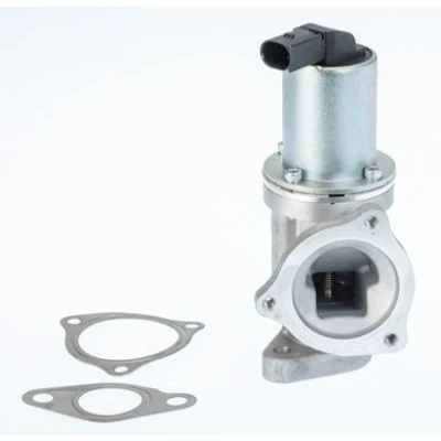 Imagen de WAHLER 711031D/1 Válvula EGR eléctrico con junta KIA: Sportage II, cee‘d I Hatchback, Familiar, HYUNDAI: Tucson, SANTA FE 2, i30 Hatchback