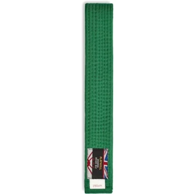 Imagen de Playwell Cinturón de clasificación Color sólido algodón para Artes Marciales Verde (250 cm)