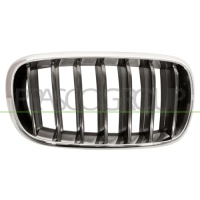 Imagen de BLIC 6502 07 00969922P Parrilla Delante, derecha cromo, negro BMW: X5