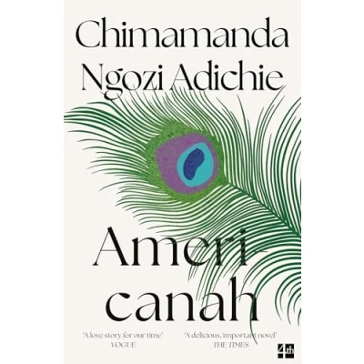 Imagen de Americanah