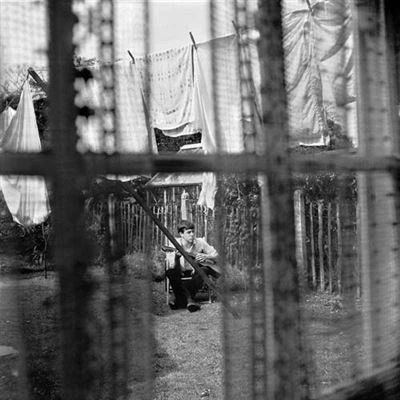 Imagen de Chaos And Creation In The Backyard [Vinilo]