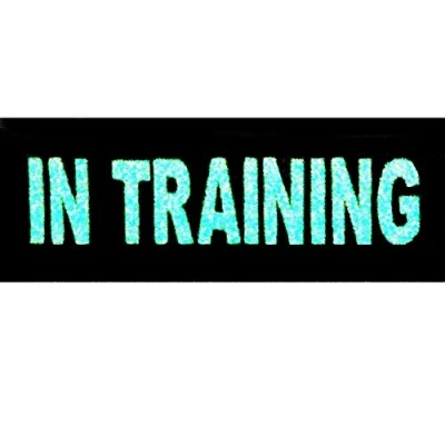 Imagen de Táctico Entrenando In Training Perro de servicio Chalecos/arneses Broche Bordado Gancho y Resplandor en el parche oscuro bucle cierre