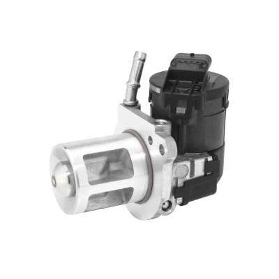 Imagen de Válvula EGR WAHLER 710369D