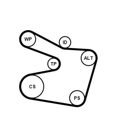 Imagen de CONTITECH CT947K2 Kit de correa distribución 166 ALFA ROMEO: 156 Berlina, Sportwagon, GT, FIAT: Stilo Hatchback, Punto II Hatchback