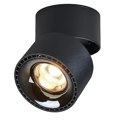 Imagen de Budbuddy 12W Lámpara de Techo LED con 1 Focos Orientables Para Moderno Plafón Regulable Superficie Luz Negro Interior Pasillo Salón Tiendas etc,3000K