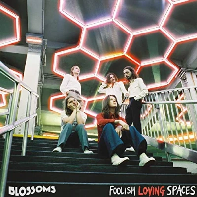 Imagen de Foolish Loving Spaces