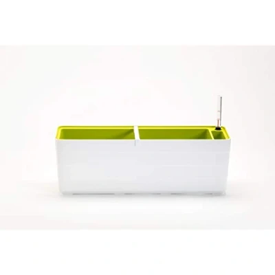 Imagen de Plastia Berberis 60 cm, Color Blanco y Verde