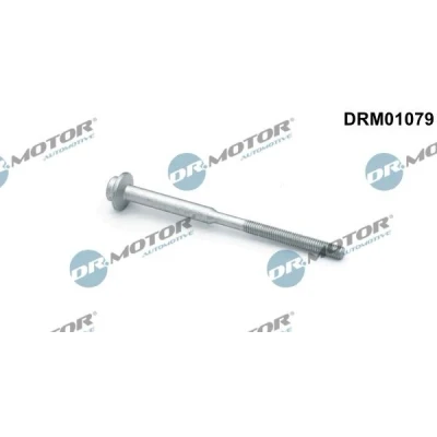 Imagen de DR.MOTOR AUTOMOTIVE DRM01079 Tornillo, soporte inyector AUDI: A5 B8 Sportback, Q5, A6 C7 Avant, VOLKSWAGEN: Golf 7, Sharan II, Arteon, SKODA: Kodiaq
