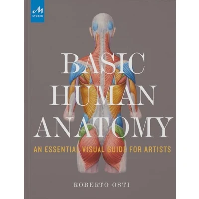 Imagen de Basic human anatomy