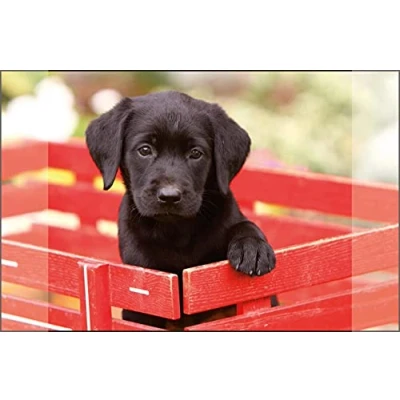 Imagen de Kangaro Labrador Alfombrilla antideslizante para escritorio (38 x 58 cm, 2 bolsillos, niños, adolescentes y salas de estudio, color negro)