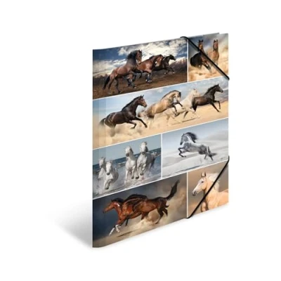 Imagen de HERMA 19217 carpeta de dibujo Animales con motivo Caballos, A3, cartón resistente, impresión interior, 1 palmo