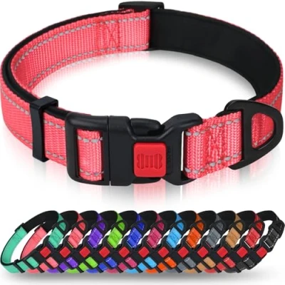 Imagen de Taglory Collar Perro, Nylon Reflectante Neopreno Forrado Ajustable para Perros Pequeños, Rosa