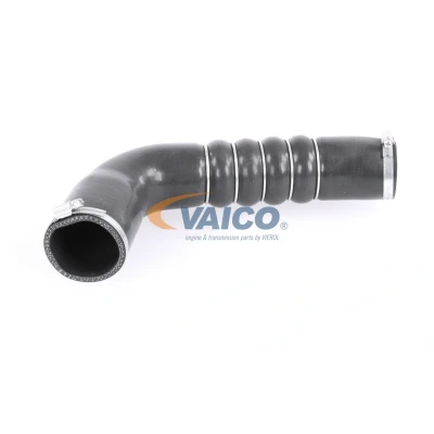 Imagen de VAICO V10 3794 Manguera Turbo Caucho con refuerzo textil Original calidad de AUDI: A6 C6 Berlina, Avant, Allroad