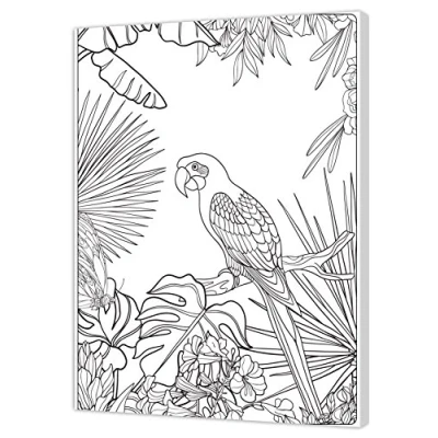 Imagen de Pintcolor 7161.0 Marco con Lienzo Impreso de Colorear, Madera Abeto/algodón, Blanco/Negro, 40 x 50 3.5 cm