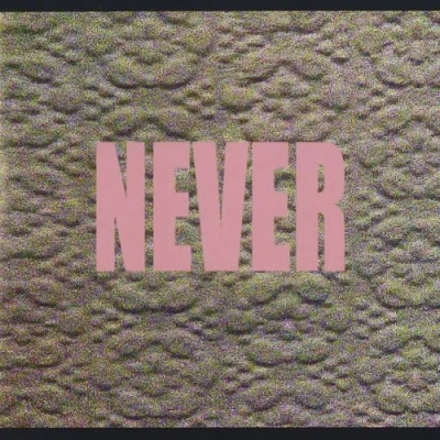 Imagen de Never [Vinilo]