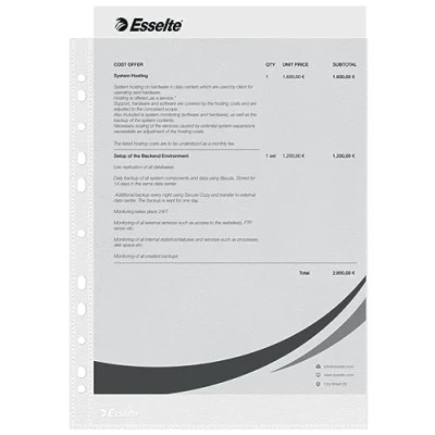 Imagen de Esselte Funda de Plástico A4 Perforada, Transparente Mate, Abertura Superior, Polipropileno 43 Micras, Caja 100, 56133