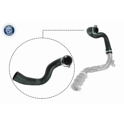 Imagen de VAICO V25 1053 Manguera Turbo Caucho con refuerzo textil Q+, calidad de primer equipo FORD: Tourneo Connect, Transit Connect Mk1 Furgón