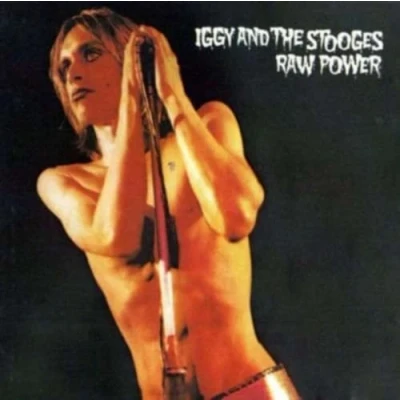 Imagen de Raw Power [Vinilo]