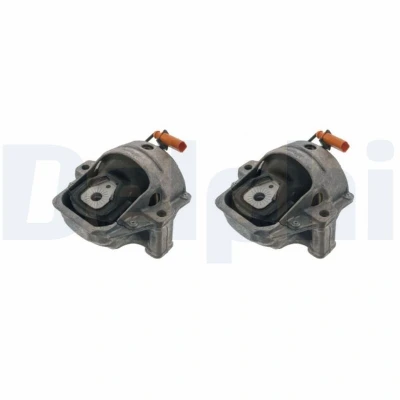 Imagen de Soporte, motor DELPHI TEM269