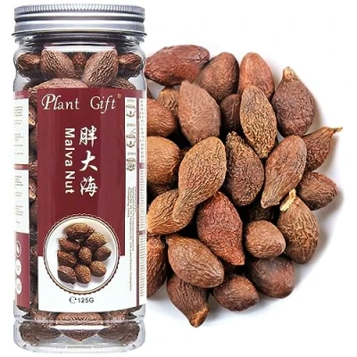 Imagen de Plant Gift Malva Nut 125G/4.4oz 胖大海 Dried Sterculia Lychnophora, Pangdahai, Chinese Health Tea