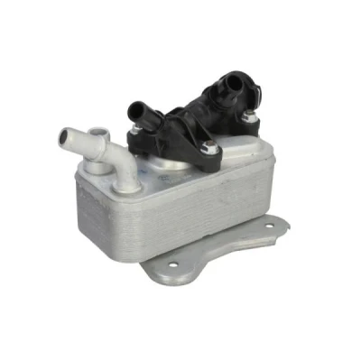 Imagen de THERMOTEC D4B033TT Radiador de Aceite BMW: 3 Berlina, X5, Touring