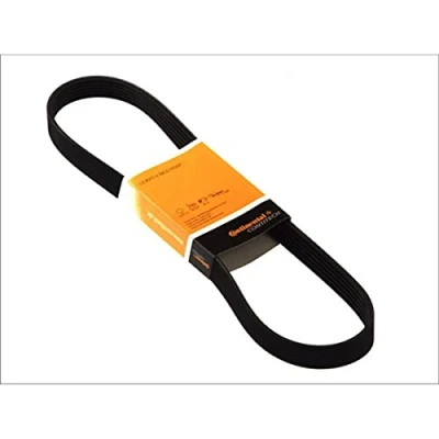 Imagen de CONTITECH 6PK831 ELAST T1 Juego de correas trapeciales poli V con herramienta montaje FORD: Transit Mk5 Bus, Furgón