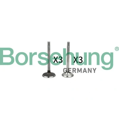Imagen de Borsehung B18765 Válvula