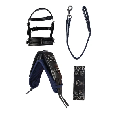 Imagen de HKM Cuddle Pony Lunge Set