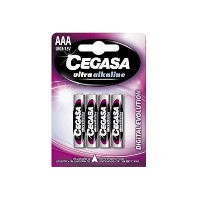 Imagen de CEGASA Evolution Pack 4 Pilas LR03, Color Verde