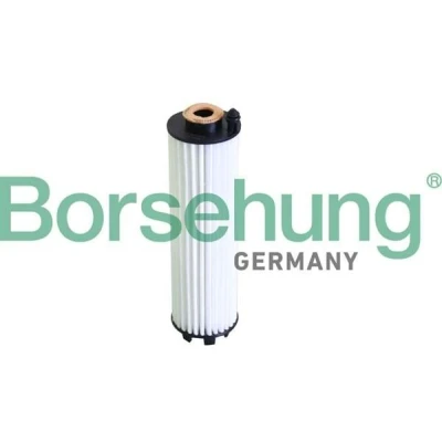 Imagen de Filtro de aceite Borsehung B12289