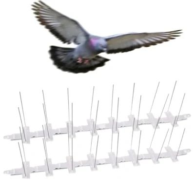 Imagen de Biotop B2430B Pinchos Disuasorios para Pájaros y Demás Animales Voladores de Tamaño Medio, Blanco