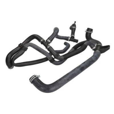 Imagen de THERMOTEC DWR286TT Manguitos de Radiador EPDM (Ethylen Propylen Dien Caucho) RENAULT: GRAND SCENIC 4