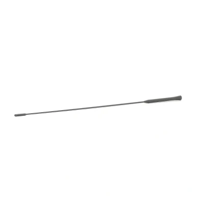 Imagen de AIC 53911 Antenas FORD: FIESTA 5, 6, Focus Mk1 Hatchback