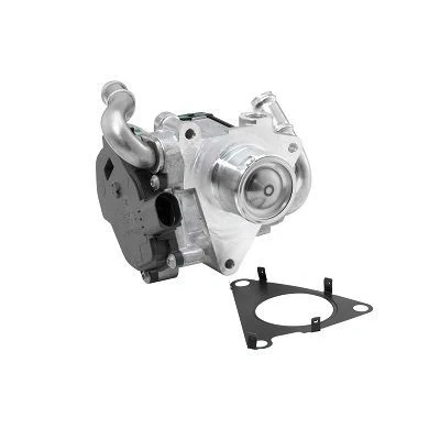 Imagen de WAHLER 72147559D Válvula EGR eléctrico con junta VOLKSWAGEN: CADDY 4 Kombi, Tiguan I, CC, SEAT: Alhambra II, AUDI: Q2, A1 Hatchback, Q3 norauto,