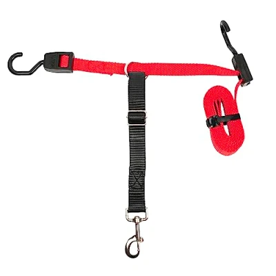 Imagen de PetSafe Solvit Correa para Asiento Trasero, Ideal Viajes