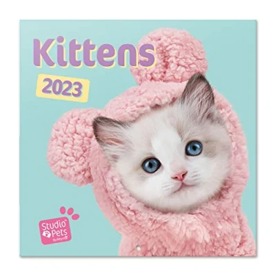 Imagen de Grupo Erik, Calendario Studio pets Kittens 2023, 2023 con certificado FSC, mensual, 30x30 cm, gatos, Producto licencia oficial, CP23060, Pared