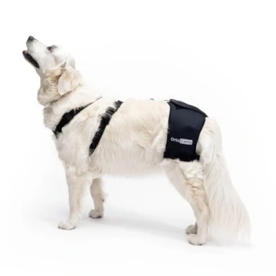 Imagen de Ortocanis Soporte de Cadera para Perro Displasia o Artrosis Localizada Estabiliza y Reduce el Dolor Fabricado en Neopreno ARD Talla M 55 68 cm