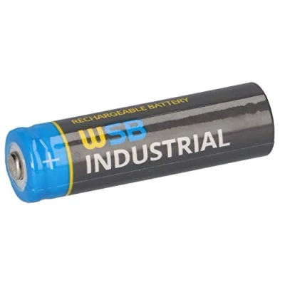 Imagen de WSB batería solar Mignon AA recargables 3,2 V 1,92 Wh LiFePo4 de alto rendimiento especialmente para lámparas solares, cadena luces solares