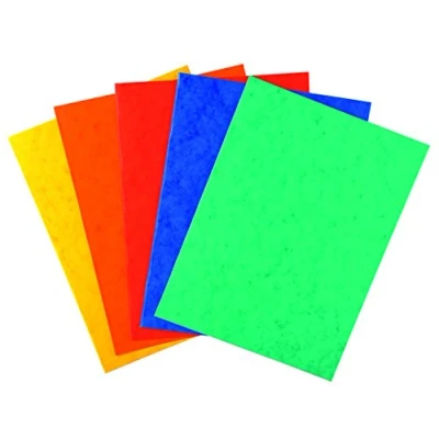 Imagen de Exacompta 220000E Paquete de 25 subcarpetas cartulina lustrada, 24 x 32 cm, multicolor