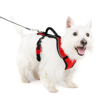 Imagen de PetSafe EasySport Arnés para Perros Acolchado Ajustable con Asa de Control y Cinta Reflectante Rojo Pequeño, S
